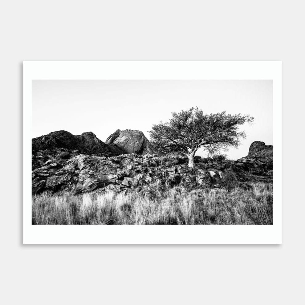 Landscape Art Prints - Art Collective