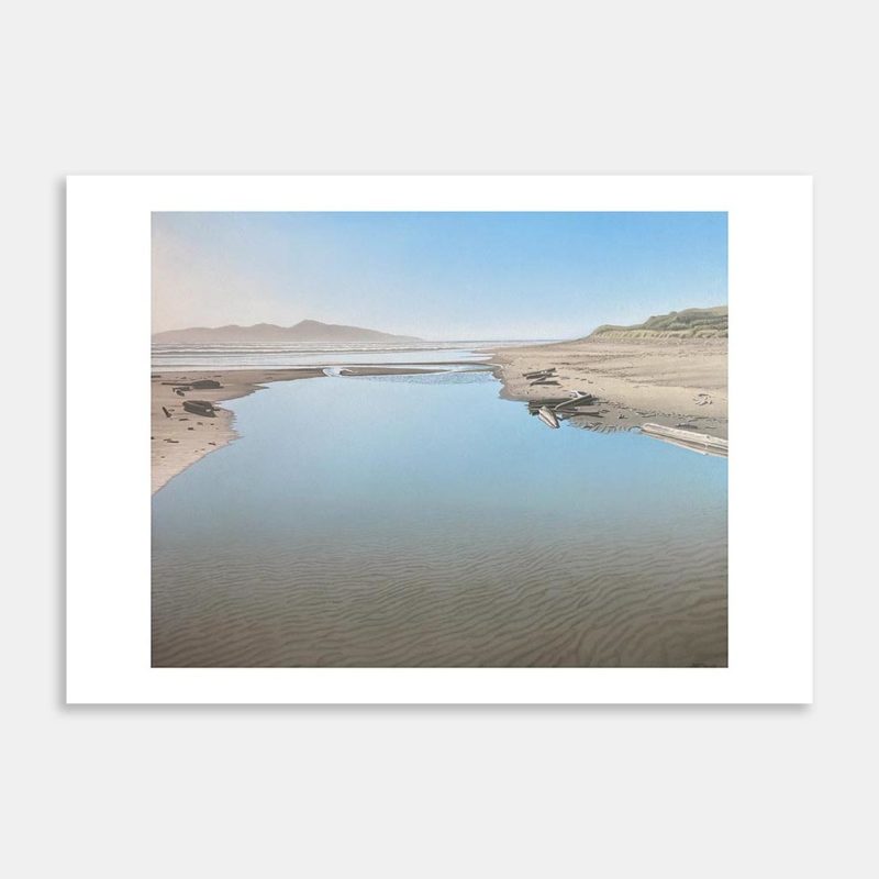 Whareroa Stream, Kapiti Art Print By Alec MacDonald