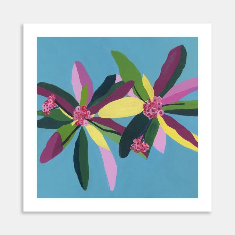 Motutara Euphorbia Art Print By Mandy Jakich