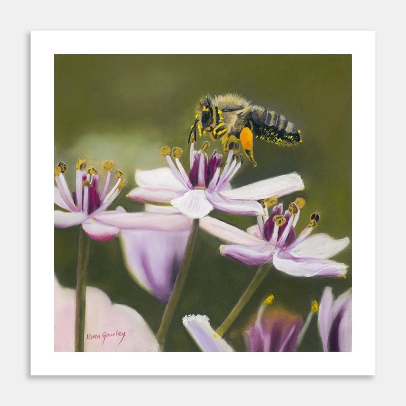 Honey Bee Art Print By Karen Gourley