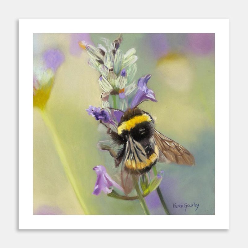 Purple Haze Art Print By Karen Gourley