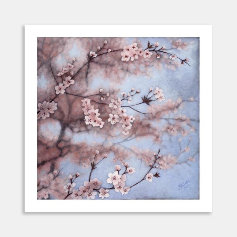 Cherry Blossoms Art Print By Carol Tarboton