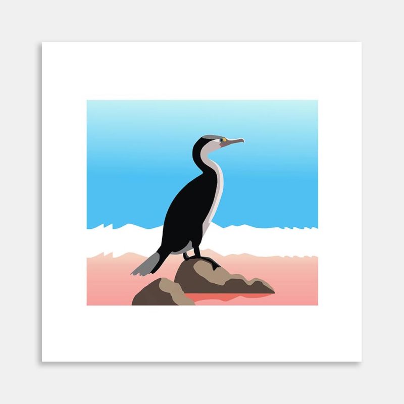 Pied Shag Karuhiruhi Art Print By Mary Brake